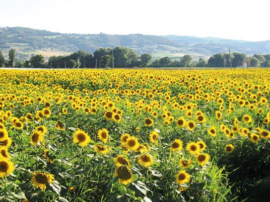 SMARTBOX - Buon Natale Bro! Degustazioni o cene, pause relax o avventure a scelta per 1 o 2 persone - Cofanetto regalo - 3