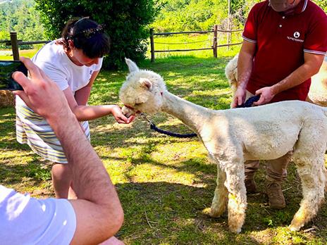 SMARTBOX - Passeggiata con gli alpaca e gita alla fattoria per tutta la famiglia - Cofanetto regalo - 4