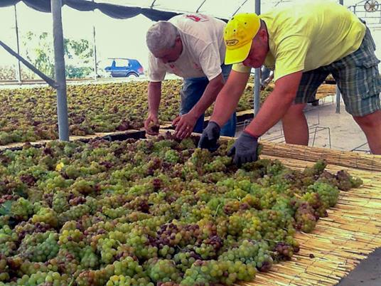 SMARTBOX - Degustazione di vini siculi, visita alla cantina e 2 bottiglie omaggio - Cofanetto regalo - 8