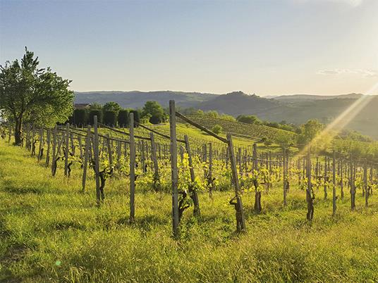 SMARTBOX - Romantica degustazione di vini in Lombardia con visita in cantina e 2 bottiglie omaggio - Cofanetto regalo - 5