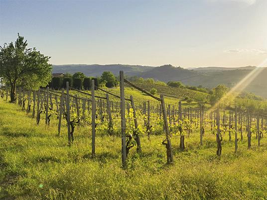 SMARTBOX - Romantica degustazione di vini in Lombardia con visita in cantina e 2 bottiglie omaggio - Cofanetto regalo - 8