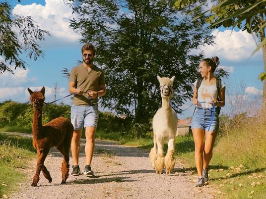 SMARTBOX - Una giornata con gli alpaca: visita guidata in fattoria a Siena per 2 - Cofanetto regalo - 2