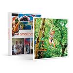 SMARTBOX - Divertimento al Veja Adventure Park: 1 ingresso al Parco con pranzo per 1 persona - Cofanetto regalo