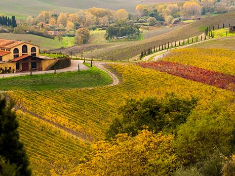 SMARTBOX - Brindisi a un papà speciale! Degustazione in cantina e bottiglie di vino in omaggio - Cofanetto regalo - 3