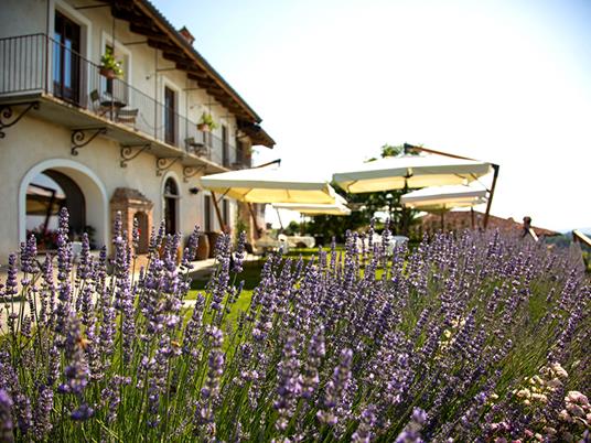 SMARTBOX - Dalla vigna alla Spa: 2 notti con vinoterapia a Monforte dAlba nelle Langhe - Cofanetto regalo - 3