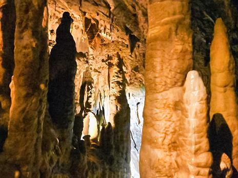 SMARTBOX - Volo in Zipline e visita al museo e alle Grotte di Equi Geo-Archeo Park per 2 - Cofanetto regalo - 3