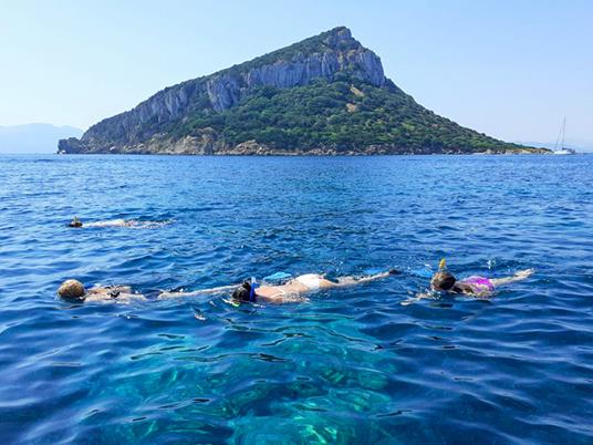 SMARTBOX - In Sardegna sulla scia dei delfini: escursione in gommone per 2 adulti e 2 bambini - Cofanetto regalo - 4