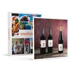 SMARTBOX - Esperienza enogastronomica altoatesina a casa tua: 3 bottiglie di vino con polenta - Cofanetto regalo