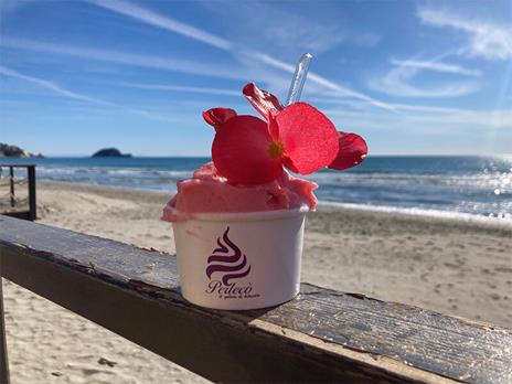 SMARTBOX - Gelato in riva al mare ad Alassio: degustazione di 5 gelati gourmet ai fiori per 4 persone - Cofanetto regalo - 2