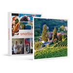 SMARTBOX - 1 notte nei vigneti di una cantina delle Langhe con visita e degustazione vini per 3 - Cofanetto regalo