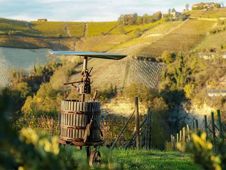 SMARTBOX - 2 notti nelle Langhe e visita a una storica cantina vinicola con degustazione vini - Cofanetto regalo - 3