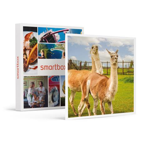 SMARTBOX - Avventuroso soggiorno vicino a Cuneo: 1 notte con cena e trekking coi lama - Cofanetto regalo