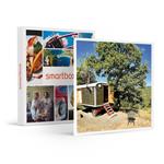SMARTBOX - Soggiorno insolito in Toscana: 1 notte in Carovana Gipsy con cesto di prodotti bio e Prosecco - Cofanetto regalo