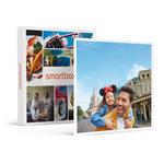 SMARTBOX - Divertimento e Magia in famiglia: biglietto data a scelta 1 giorno per 2 Parchi Disney® per 2 adulti e 1 bambino - Cofanetto regalo