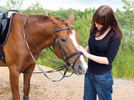 SMARTBOX - Passeggiata a cavallo - Cofanetto regalo - 7