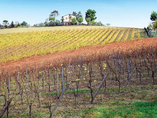 SMARTBOX - Antichi sapori: 1 degustazione enogastronomica in agriturismo per 2 - Cofanetto regalo - 9