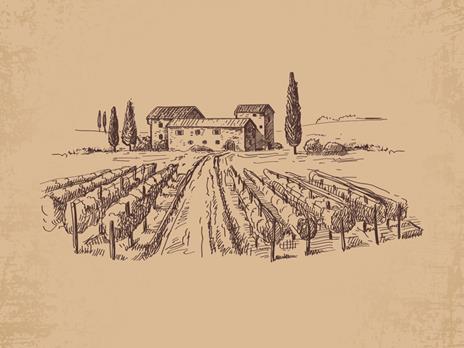 SMARTBOX Soggiorno alla scoperta del vino Cofanetto regalo 1 o 2 notti per 2 persone con visita alla cantina o ai vigneti - 4