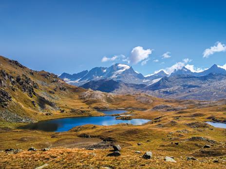 SMARTBOX Evasione nei parchi naturali d'Italia 1 notte nei pressi dei parchi naturali d'Italia per 2 persone - 5