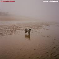 Uomini Cani Gabbiani