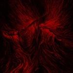 Clandestine Sacrament (Digipack) - CD Audio di Death Fetishist