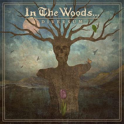 Diversum (Brown-White-Brown Vinyl) - Vinile LP di In the Woods