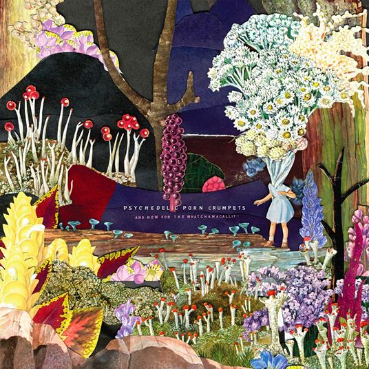 And Now For The Whatchamacallit - CD Audio di Psychedelic Porn Crumpets