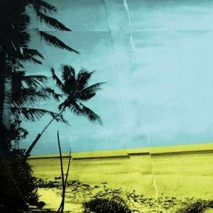 Recreation - CD Audio di Papier Tigre