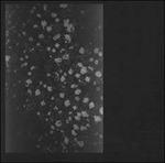 Poverty - Vinile LP di Motorama