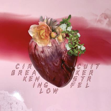 Circuit Breaker - Vinile LP di Ken Stringfellow