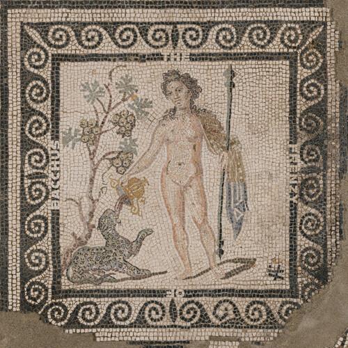 The Frenzy Of Bacchus - CD Audio di ASM