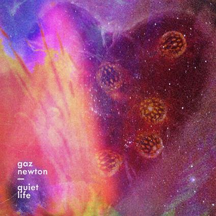 Quiet Life - CD Audio di Gaz Newton