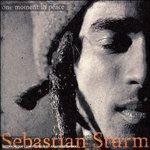 One Moment in Peace - CD Audio di Sebastian Sturm