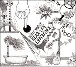 Near Life Experience - CD Audio di Scott Kinsey