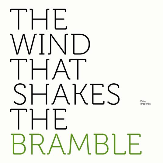 The Wind That Shakes the Bramble - Vinile LP di Peter Broderick