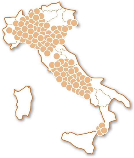 Cofanetto Brividi In Pista. Wonderbox - 3