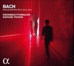 Missae Breves Bwv234 - 235 - CD Audio di Johann Sebastian Bach
