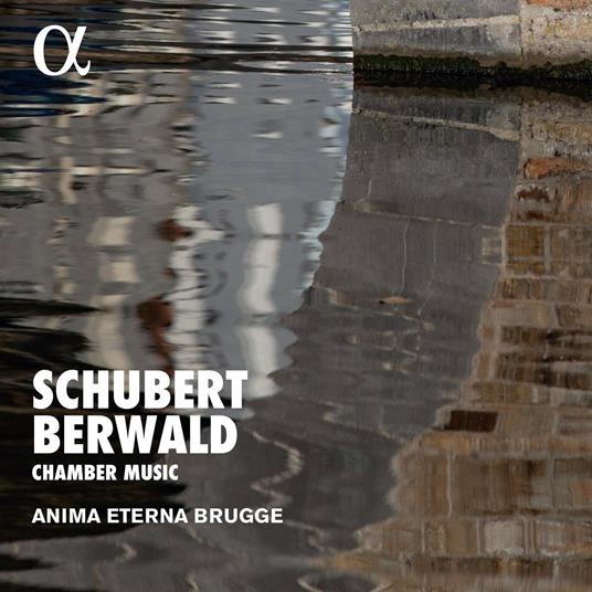 Musica da camera - CD Audio di Franz Schubert,Franz Adolf Berwald