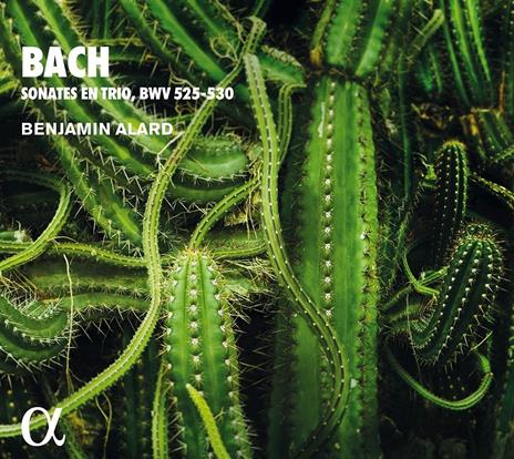 Sonates en trio BWV525, BWV530 - CD Audio di Johann Sebastian Bach,Benjamin Alard