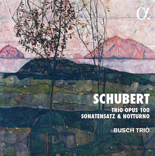 Trio op.100 - Sonatensatz - Notturno - CD Audio di Franz Schubert,Busch Trio