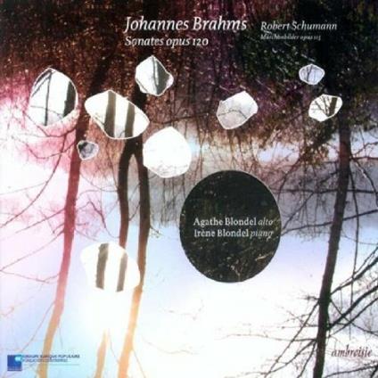 Marchenbilder op 113 (1851) per viola e piano - CD Audio di Robert Schumann