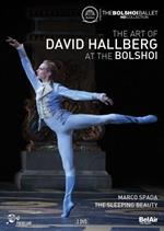 The Art of David Hallberg at The Bolshoi - La bella addormentata op.66 (2 DVD)