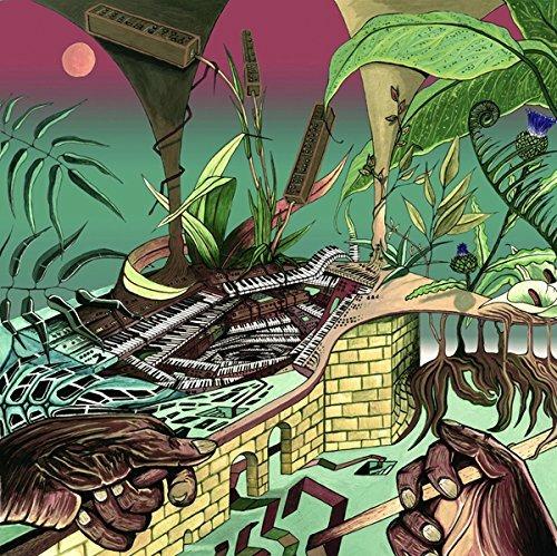 Tony Allen Experiments - Vinile LP di Nu Guinea