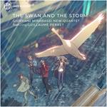 Swan And The Storm