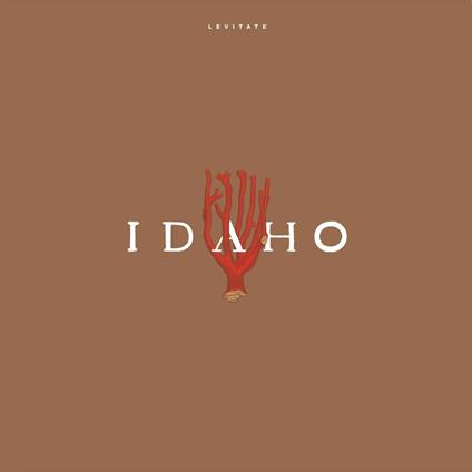 Levitate - Vinile LP di Idaho