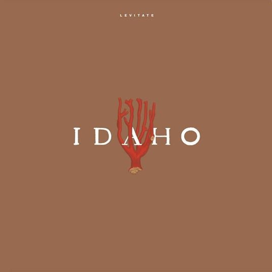 Levitate - Vinile LP di Idaho