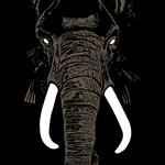 Don't Buy Ivory Anymore! - The Music Of Henri Texier
