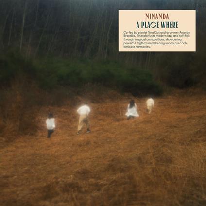 A Place Where - CD Audio di Ninanda