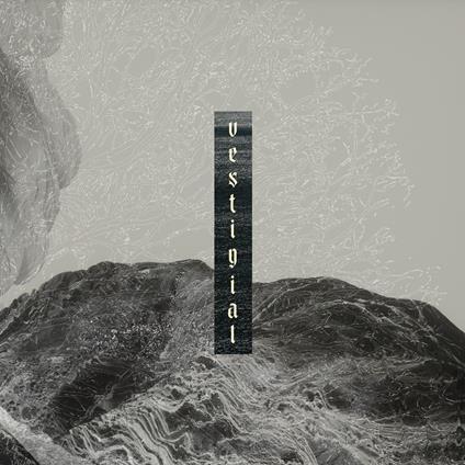 Descending Vastness - CD Audio di Vestigial