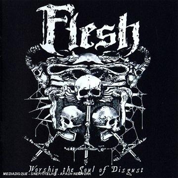 Worship The Soul Of Disgust - CD Audio di Flesh