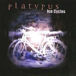 Ice Cycles
